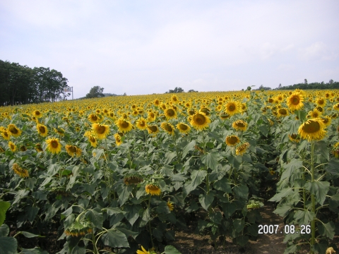 s_PICT0058.jpg